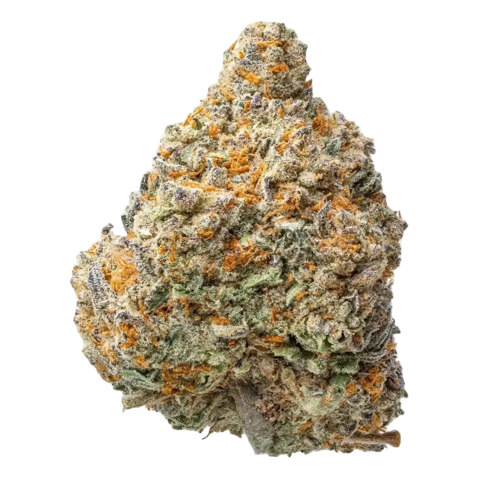 Tropical Gelato THCa Flower