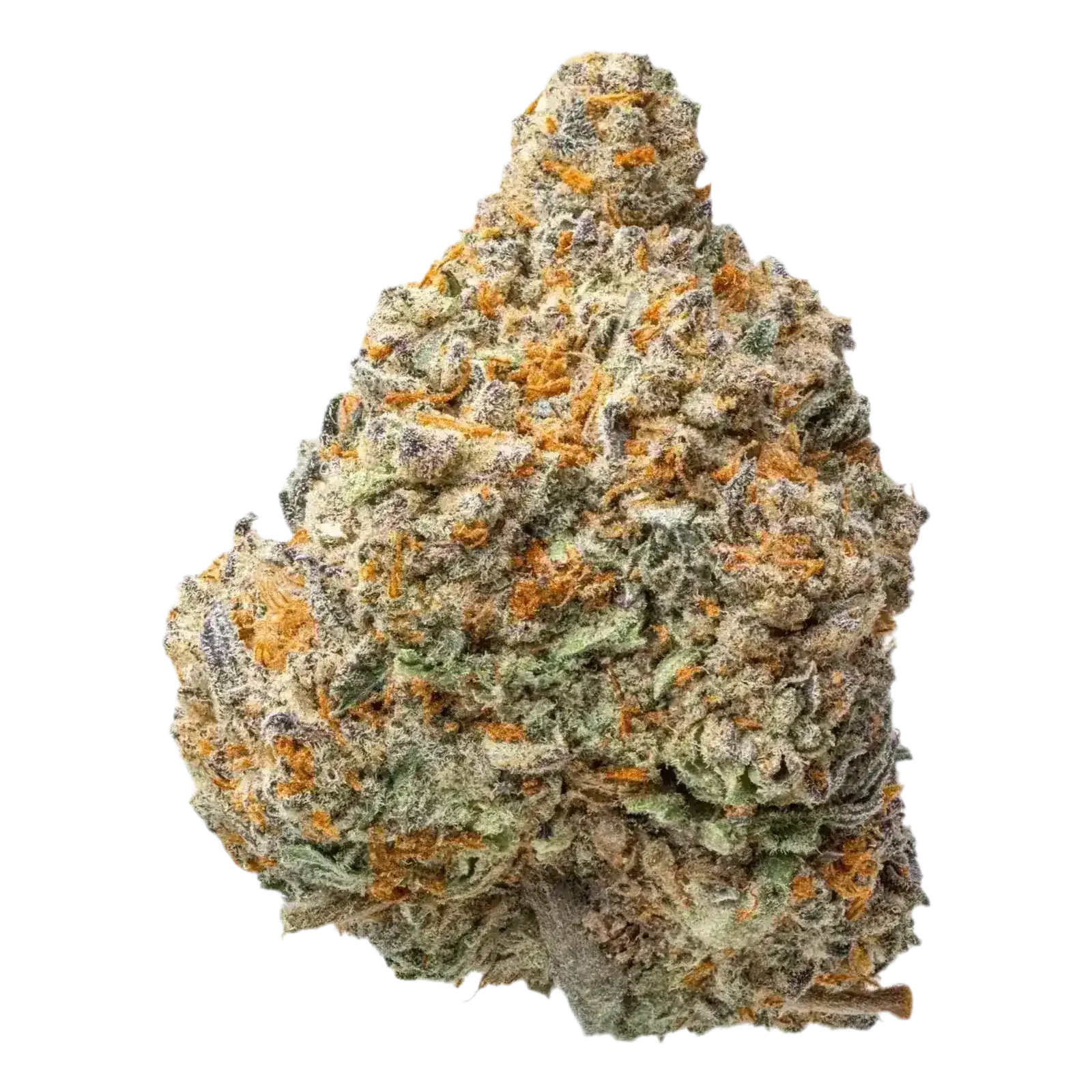 Tropical Gelato THCa Flower Ounce