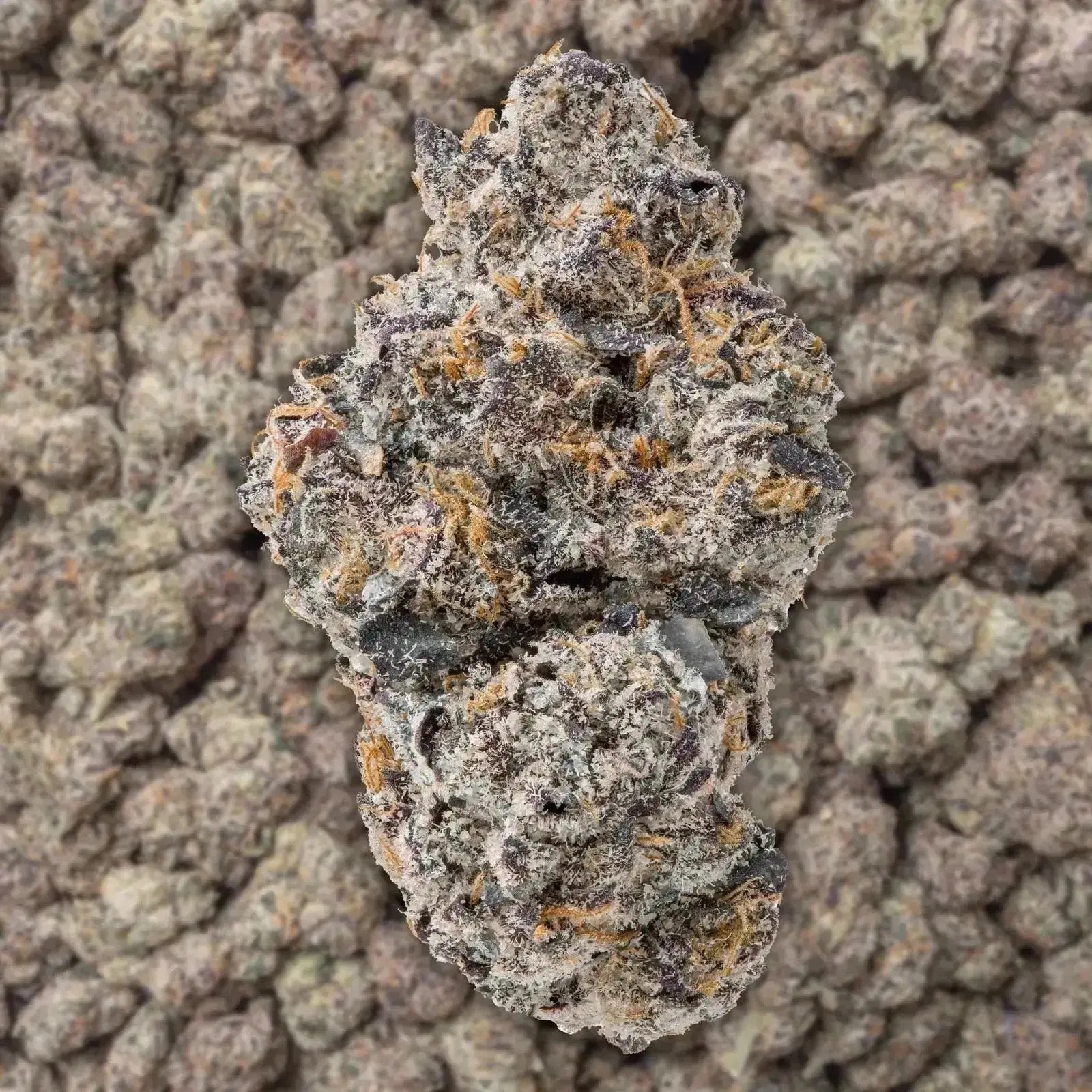 Uncle Snoop THCa Flower Ounce - Image 2