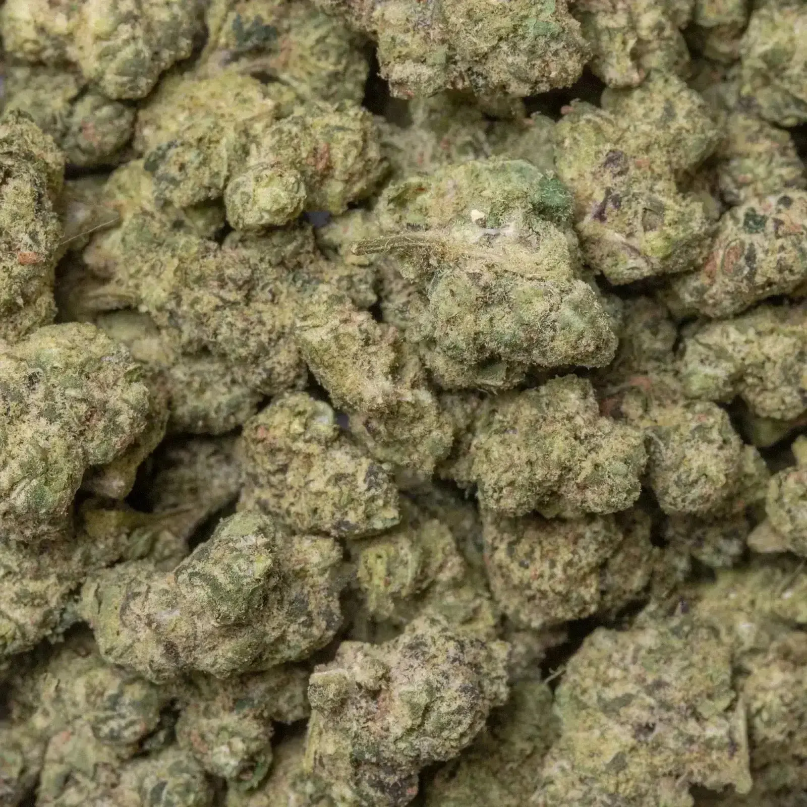 White Guava Smalls THCa Flower - Image 3